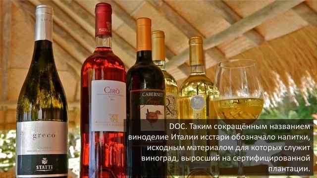 А  Кукушкин и М Грибулева о италии