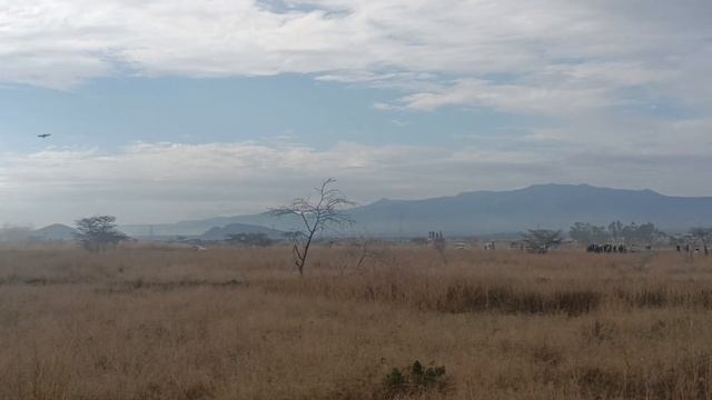 WRC safari rally Kenya 2024 soysambu Elementaita смотреть онлайн