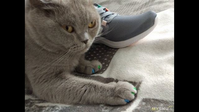 Женские кроссовки Адидас – отзыв о покупке обуви на китайском сайте и фото Adidas | #Обзор смотреть онлайн