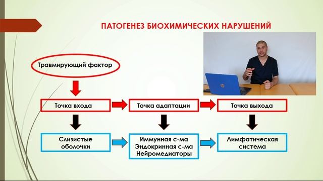 Концепция прикладной кинезиологии