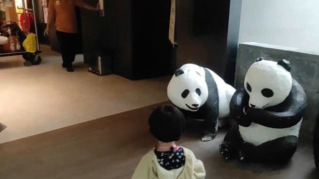 Room Tour Executive Panda - Royal Safari Garden Resort & Convention смотреть онлайн