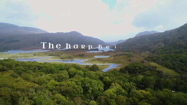 John McDermott - The Minstrel Boy Lyric Video 2022 смотреть онлайн
