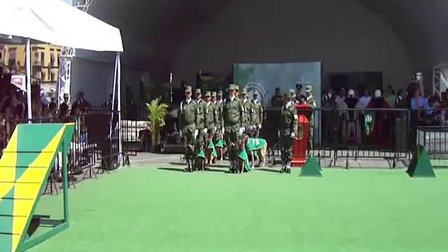 Expo Militar y Canina 2013 Zocalo Capitalino смотреть онлайн