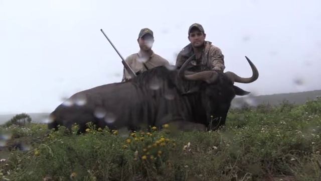Game4Africa Hunting Safaris смотреть онлайн