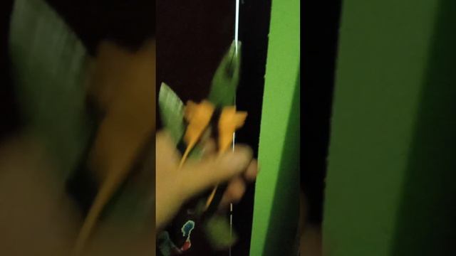 21 декабря 2022 г. смотреть онлайн