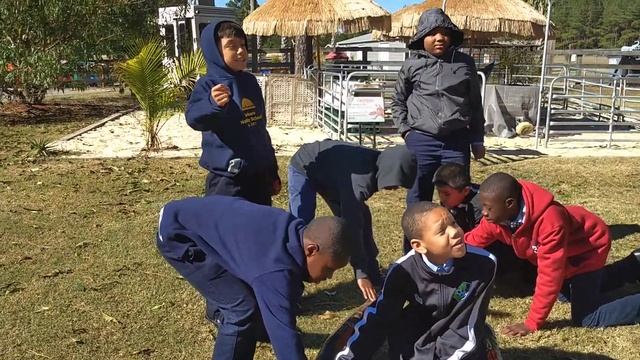 DNS 5th grade at Aloha Safari Zoo, with the python смотреть онлайн