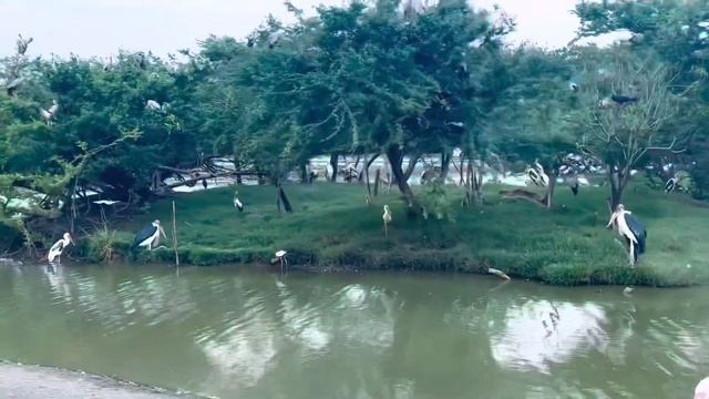 SAFARI WORLD BANGKOK | 2022 | #thailand смотреть онлайн