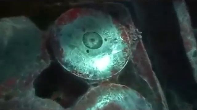 Red Sea SS.Thistlegorm. Sharm El Sheikh 2011 Part2 смотреть онлайн