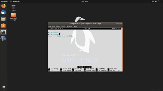 variable in bash shell 002 смотреть онлайн