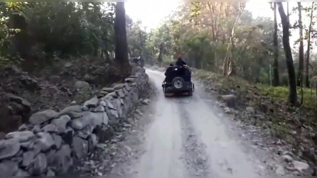 Jim Corbett National park part 3 |jungle safari | core jungle | uttrakhand tour | weekend getaway смотреть онлайн