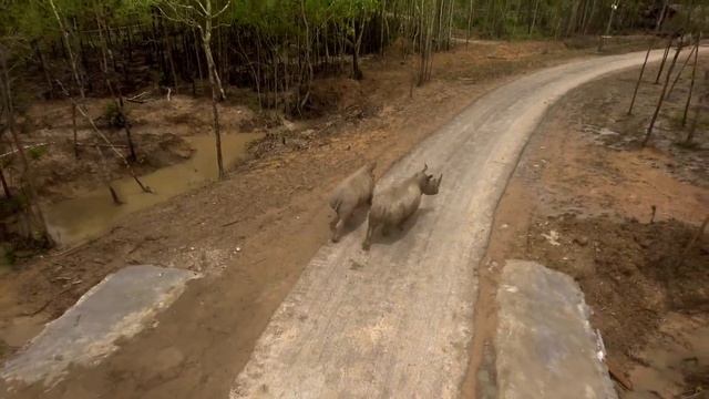 Safari Phu Quoc - Vinperland 2016 смотреть онлайн