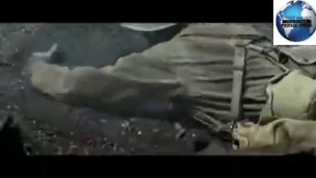 A brave soldier saves his friends from imminent death on the battlefield. جندي شجاع ينقذ أصدقاؤه смотреть онлайн