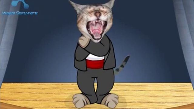 opéra chat-opéra cat смотреть онлайн