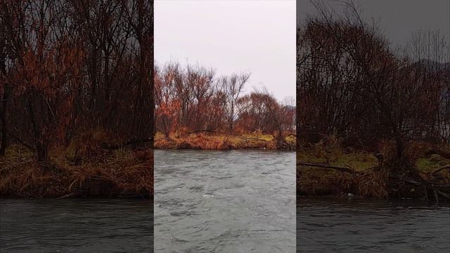 ОСЕННЯЯ КРАСОТА АЛТАЯ смотреть онлайн