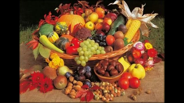 сыроедение салаты смотреть онлайн