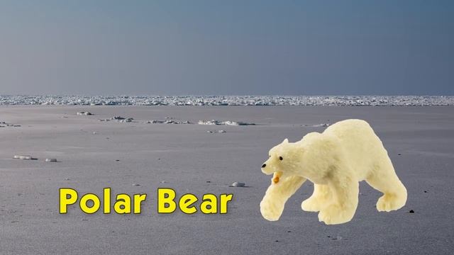 Safari LTD Good Luck Minis Arctic Fun Pack смотреть онлайн