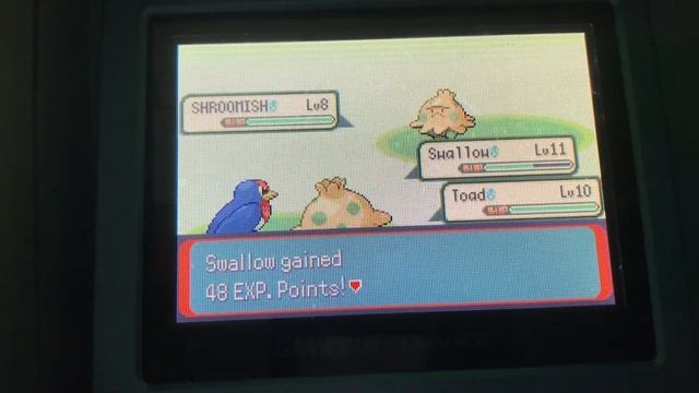 Pokémon Emerald Gotta Catch em all run part 5 смотреть онлайн