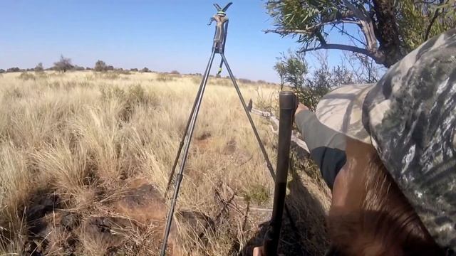 South Africa Hunting Safari! -- Africa Day 1 смотреть онлайн