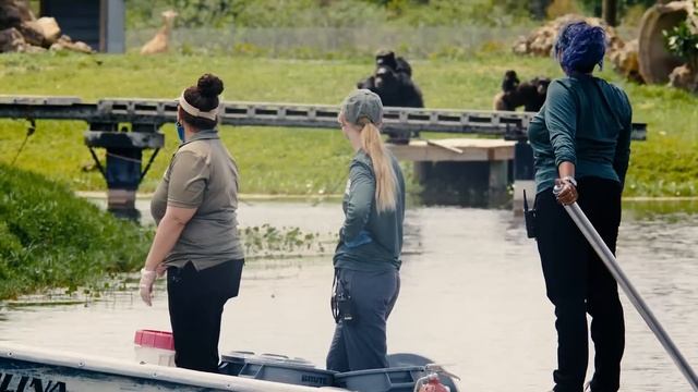 Lion Country Safari becomes king of the business jungle смотреть онлайн