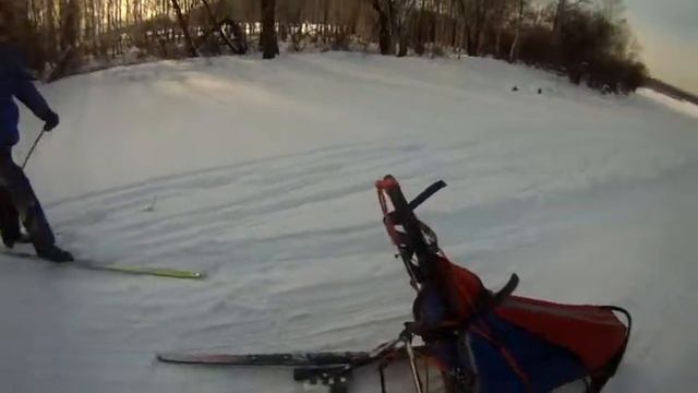 Катания на собачьих упряжках смотреть онлайн