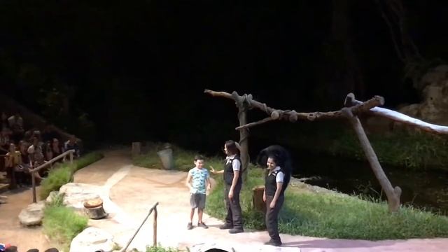 Night Safari in Singapore смотреть онлайн