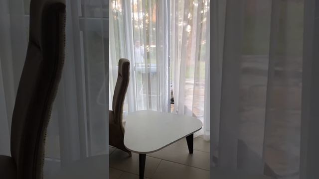 Leopard Beach Hotel, Kenya, Diani смотреть онлайн