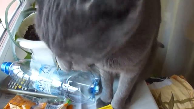 Агатка любит цветочки есть))) смотреть онлайн
