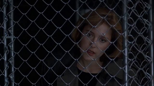 The X Files S01E10 - Fallen Angel - Part 3 смотреть онлайн