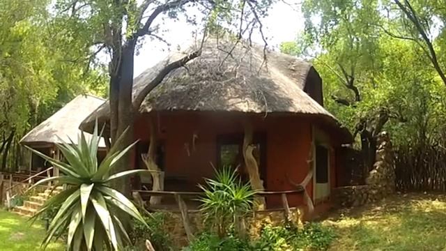 Jaci's Safari Lodge | Madikwe | South Africa смотреть онлайн