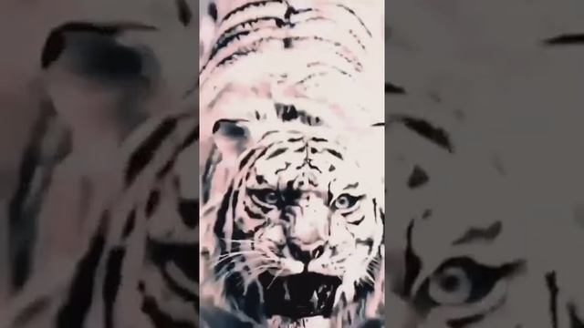 brave like a tiger смотреть онлайн