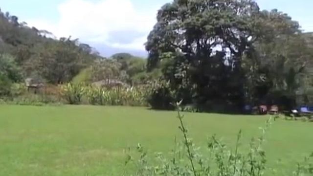 Tanzania Safari: Moivaro Coffee Lodge with Tanzania Odyssey смотреть онлайн