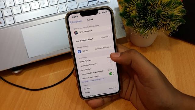 How to make google default search engine in safari смотреть онлайн