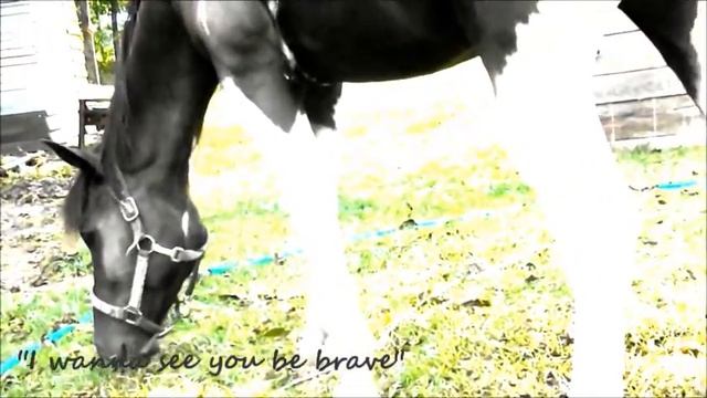 ....I Wanna See You Be Brave.... смотреть онлайн