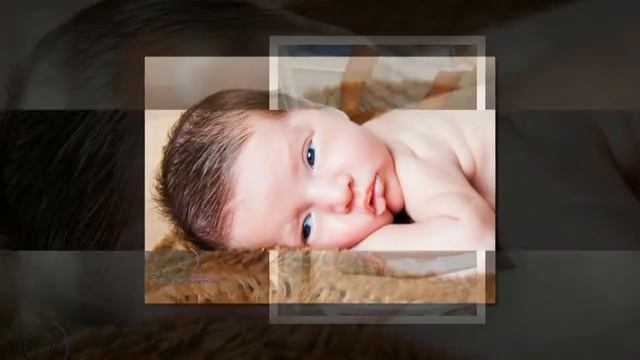 Retrospectiva Mickey Safari - Bartolomeu 1 Ano смотреть онлайн