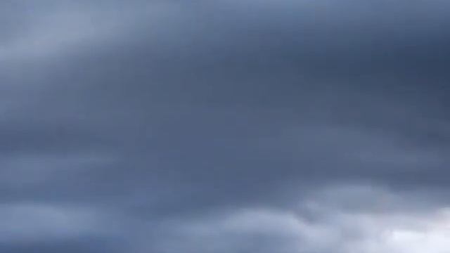 Magdy in Masai Mara.wmv смотреть онлайн