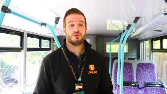 Safari Buses are back! смотреть онлайн