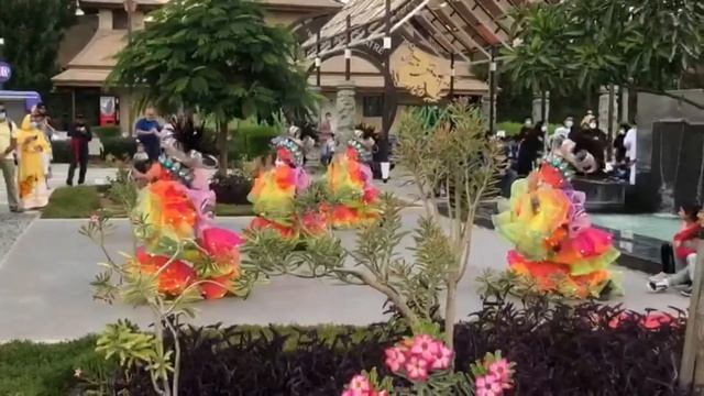 DUBAI SAFARI PARK TOUR PART 4 - ASIAN VILLAGE TO ARABIAN VILLAGE смотреть онлайн