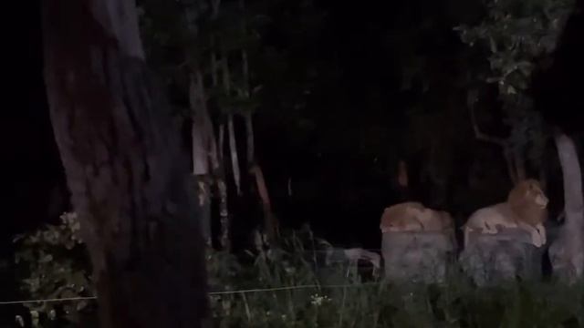 ME เที่ยว EP.2 Chiangmai Night Safari смотреть онлайн