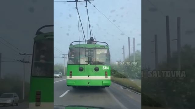 Скрипач смотреть онлайн