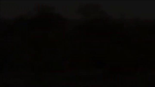 Ezulwini Game Lodges - Stay at Home Safari Highlights Week 4 смотреть онлайн