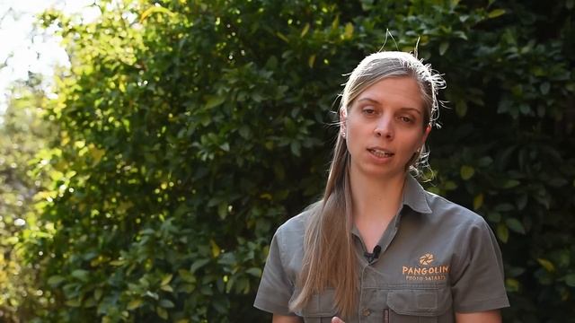 Nikon Autofocus MODES and SETTINGS for wildlife photographers смотреть онлайн