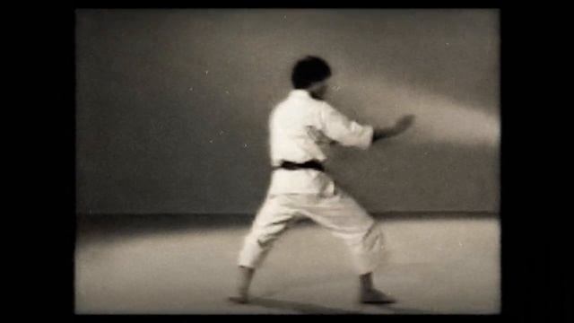 2 Каратэ. Наследие Накаямы. Ката Хейан Нидан