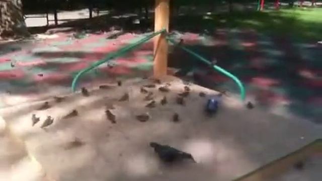 Сухие ванны смотреть онлайн