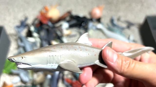 Sea Animals - Shark, Dolphin, Whale, Octopus, Manta Ray, Squid, Beluga, Orca, Hermit Crab 13+ смотреть онлайн