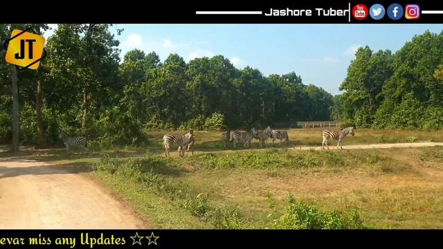 কোর সাফারি যেখানে মানুষ খাঁচাতে বন্দী এবং হিংস্র পশু বাইরে || core safari park gazipur Bangladesh смотреть онлайн