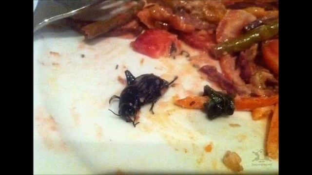 10 Удивительных Блюд МИРА