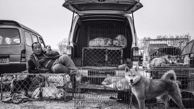 北京肖像 Beijing Portraits - LEICA MP 240 смотреть онлайн