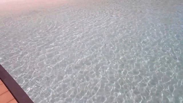 Safari island resort смотреть онлайн