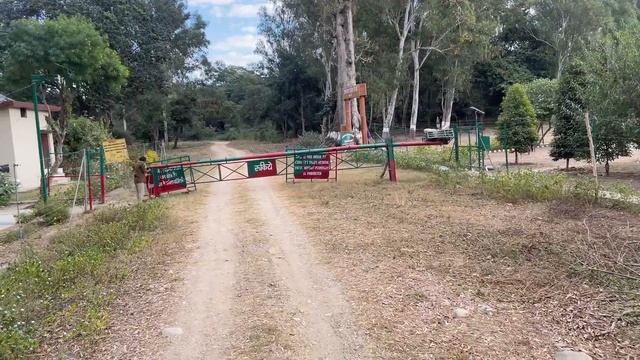 Jim Corbett National Park 2024 - Uncut Video | Tiger Mil Gaya | Jim Corbett National Park Safari смотреть онлайн