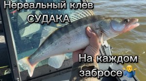 Мы в ШОКЕ!! Как мы ПОПАЛИ на раздачу судака. Рыбалка в Астрахани, осень 2024. База Протока. Часть 1